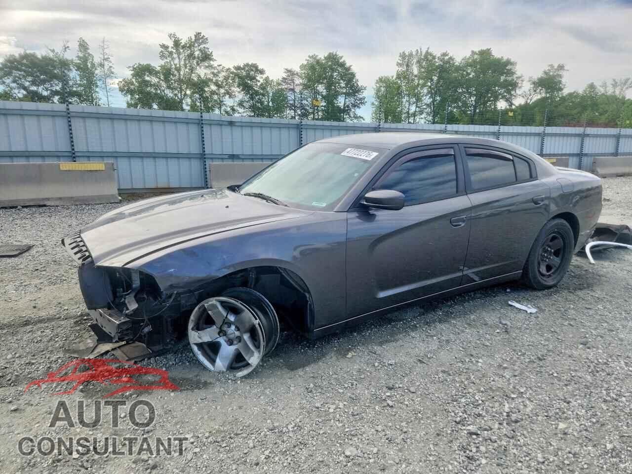 DODGE CHARGER 2014 - 2C3CDXAG1EH348614