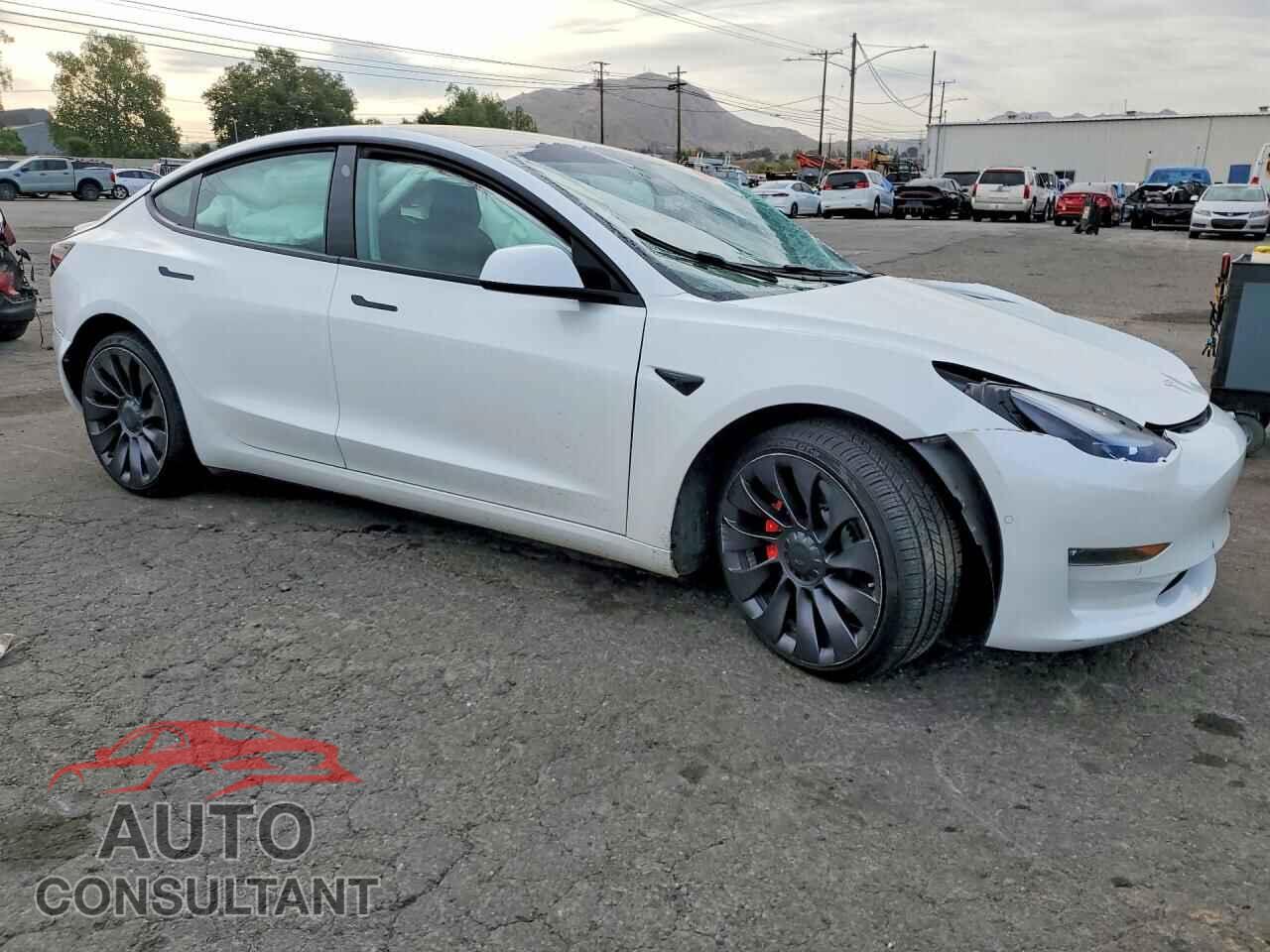 TESLA MODEL 3 2021 - 5YJ3E1EC7MF030191