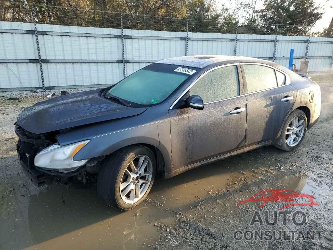 NISSAN MAXIMA 2010 - 1N4AA5AP0AC863994