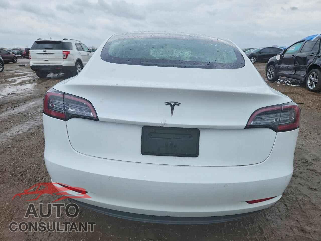 TESLA MODEL 3 2019 - 5YJ3E1EA2KF482500