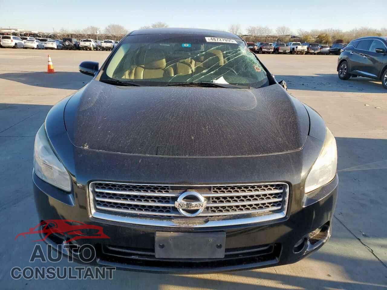 NISSAN MAXIMA 2010 - 1N4AA5AP3AC856277