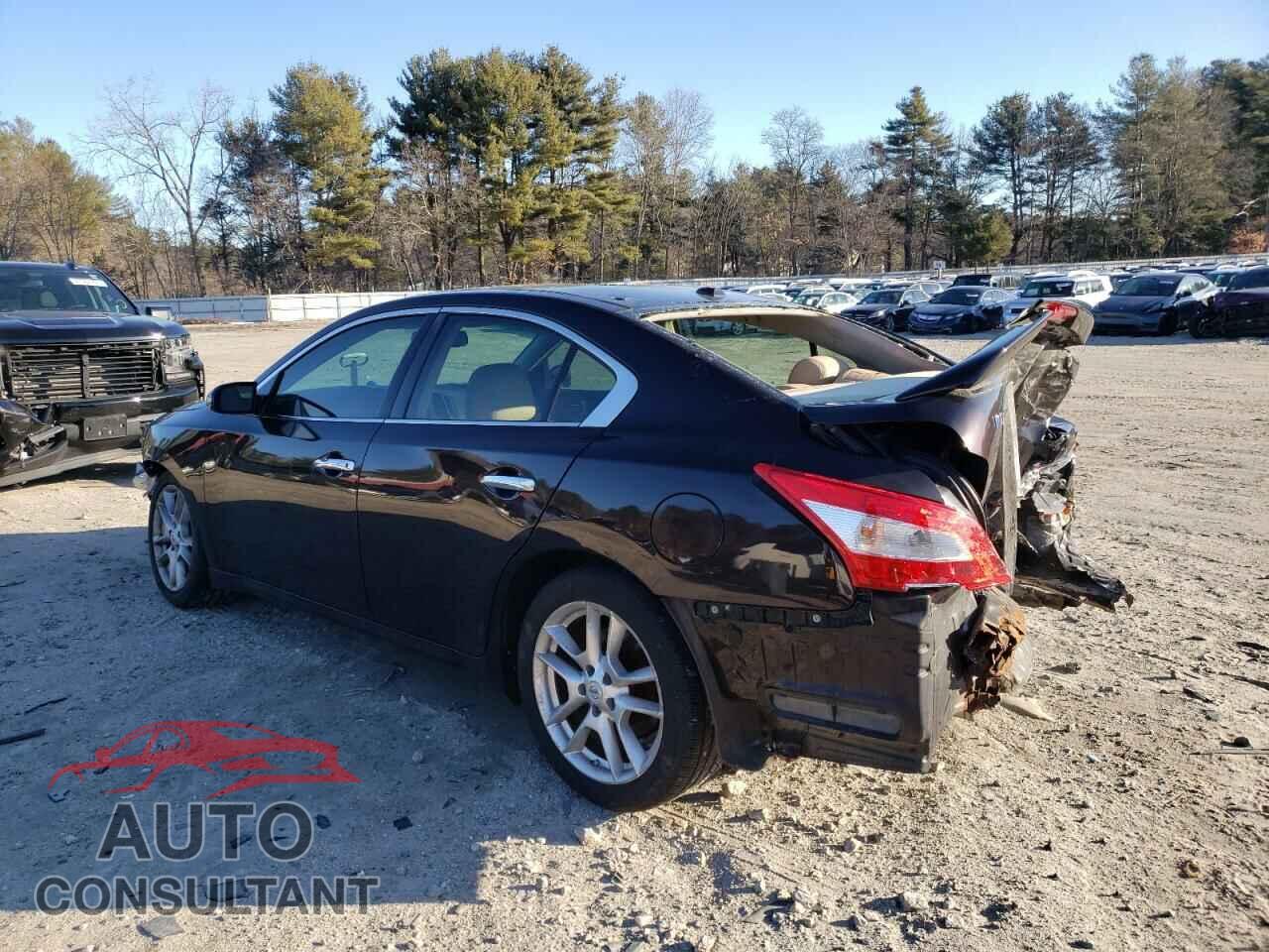NISSAN MAXIMA 2010 - 1N4AA5AP6AC825203