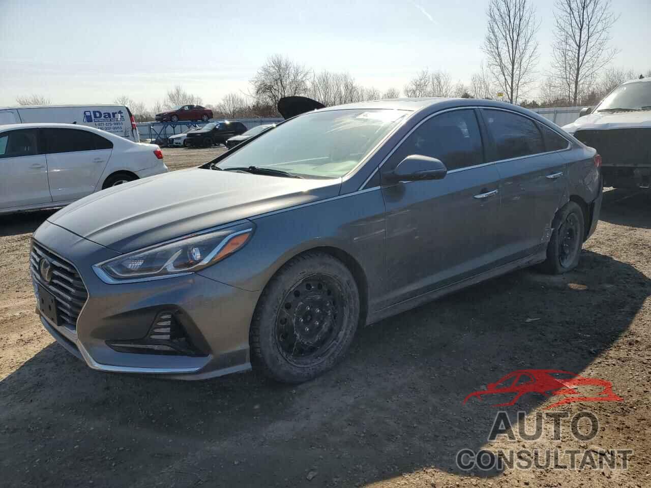 HYUNDAI SONATA 2019 - 5NPE34AF3KH748383