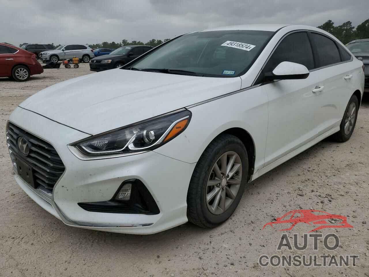 HYUNDAI SONATA 2019 - 5NPE24AF7KH746168