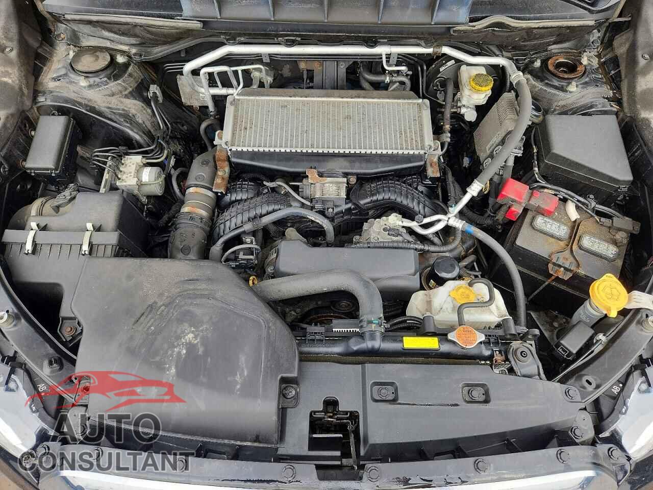 SUBARU ASCENT 2020 - 4S4WMAPD5L3473260