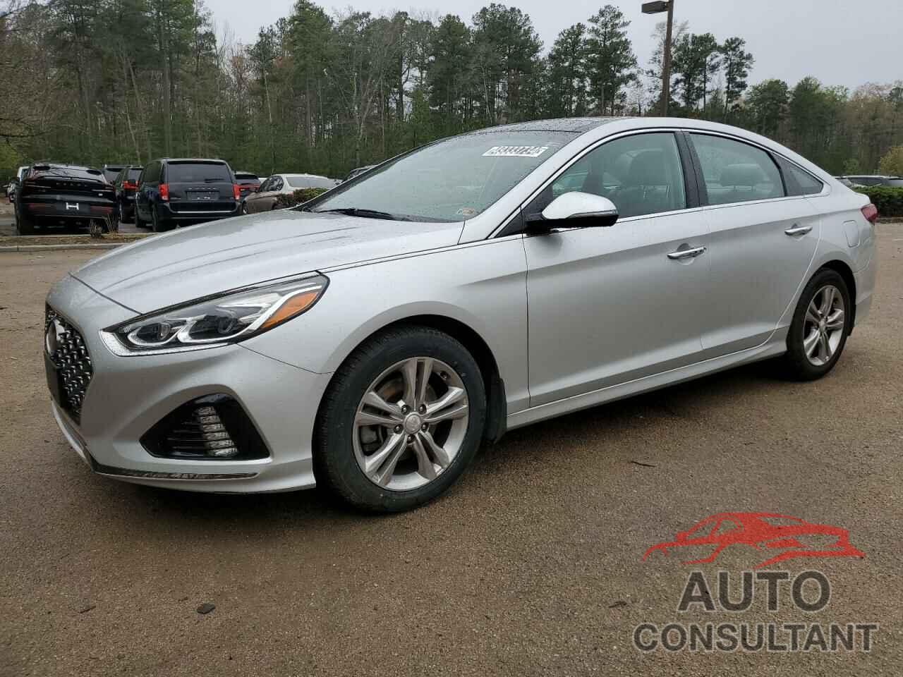HYUNDAI SONATA 2019 - 5NPE34AF9KH735315