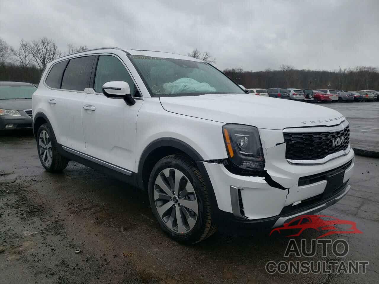 KIA TELLURIDE 2022 - 5XYP6DHC6NG254865