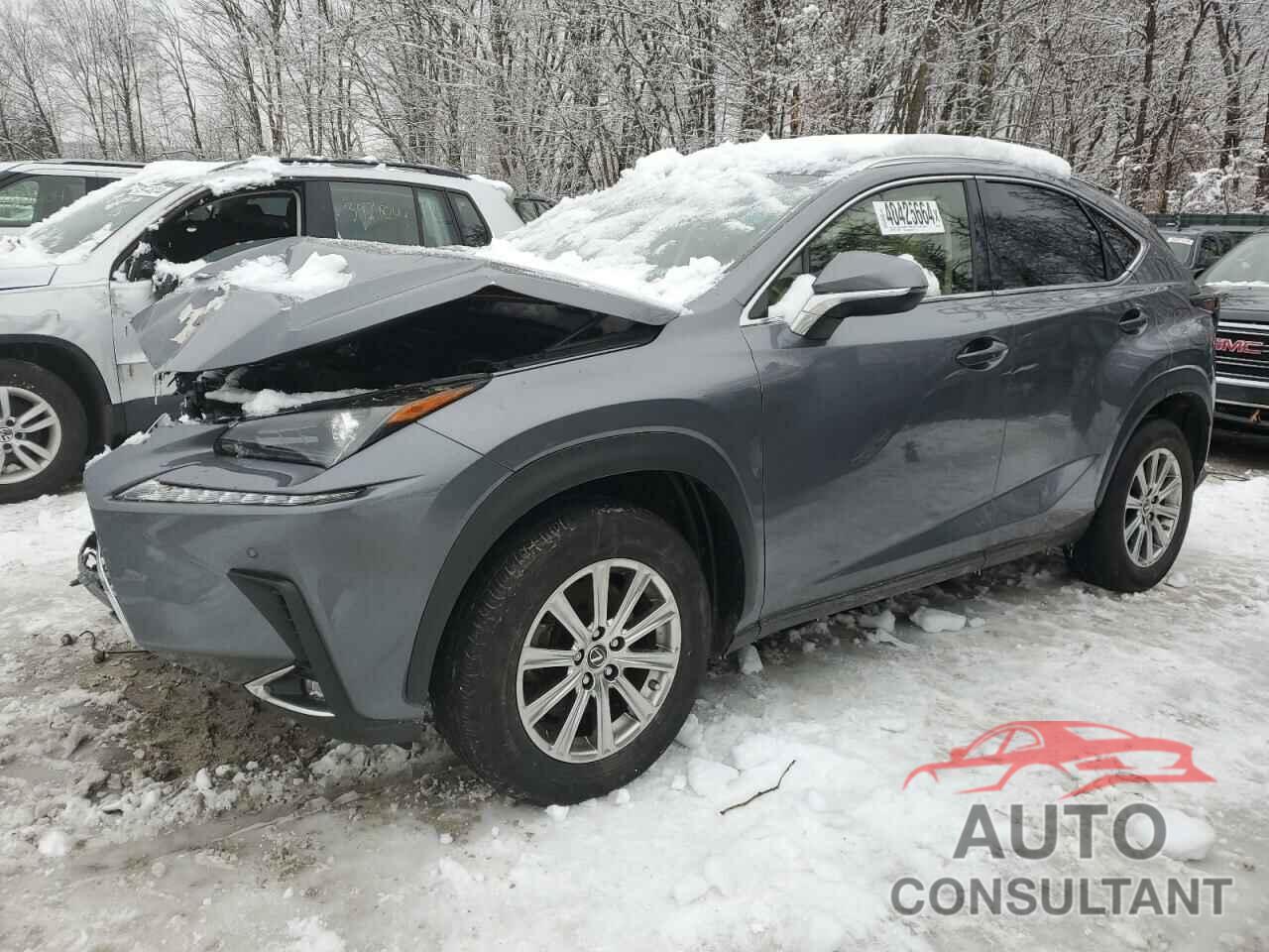 LEXUS NX 2021 - JTJDARDZ2M2261066