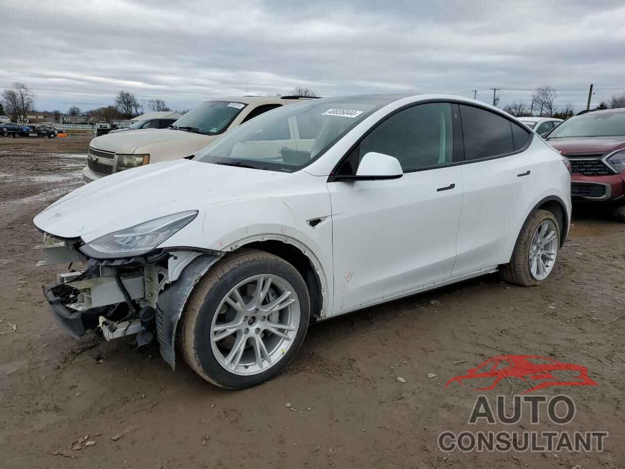 TESLA MODEL Y 2021 - 5YJYGDEE8MF253133