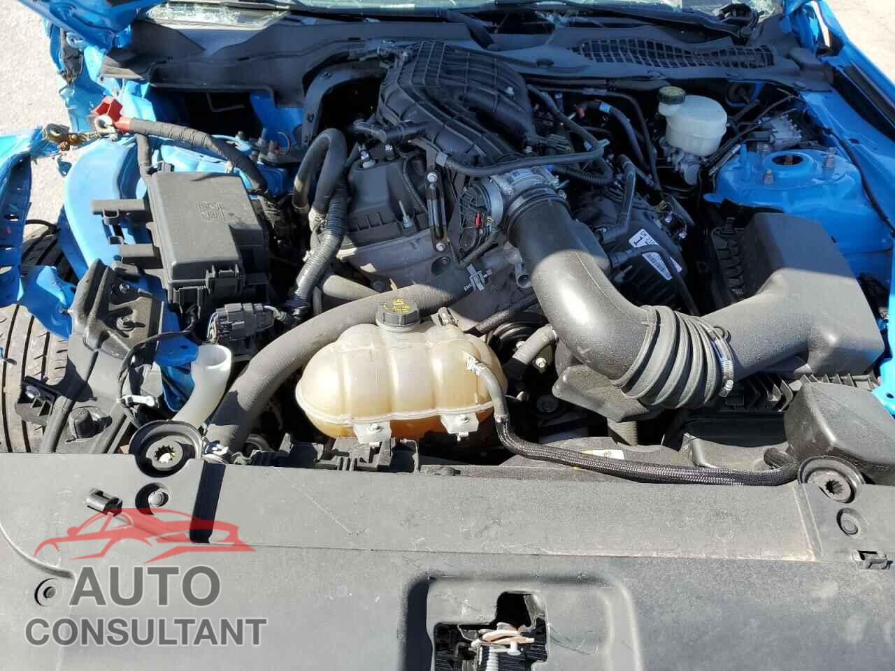 FORD MUSTANG 2017 - 1FA6P8AM3H5264078