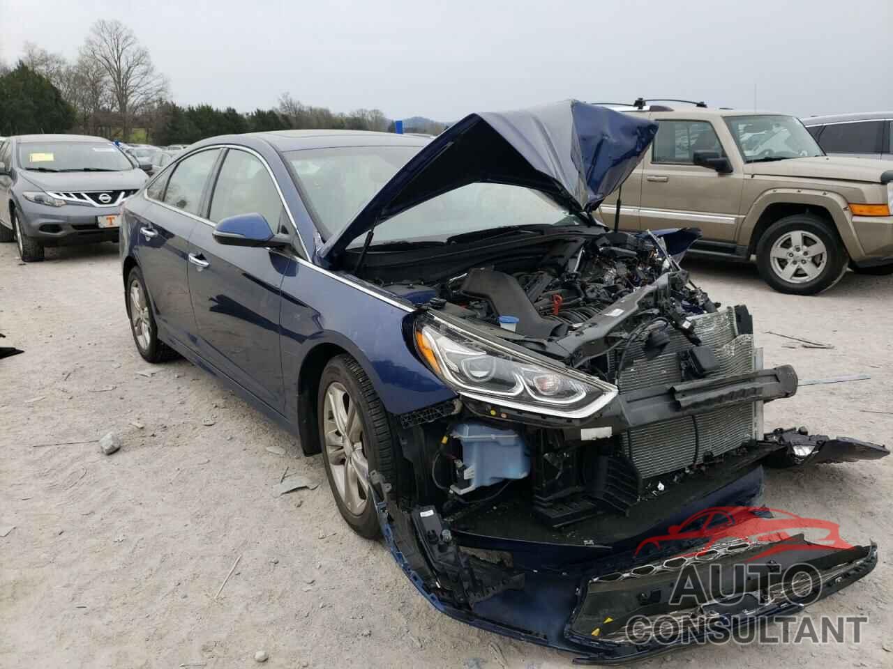 HYUNDAI SONATA 2019 - 5NPE34AF2KH793590
