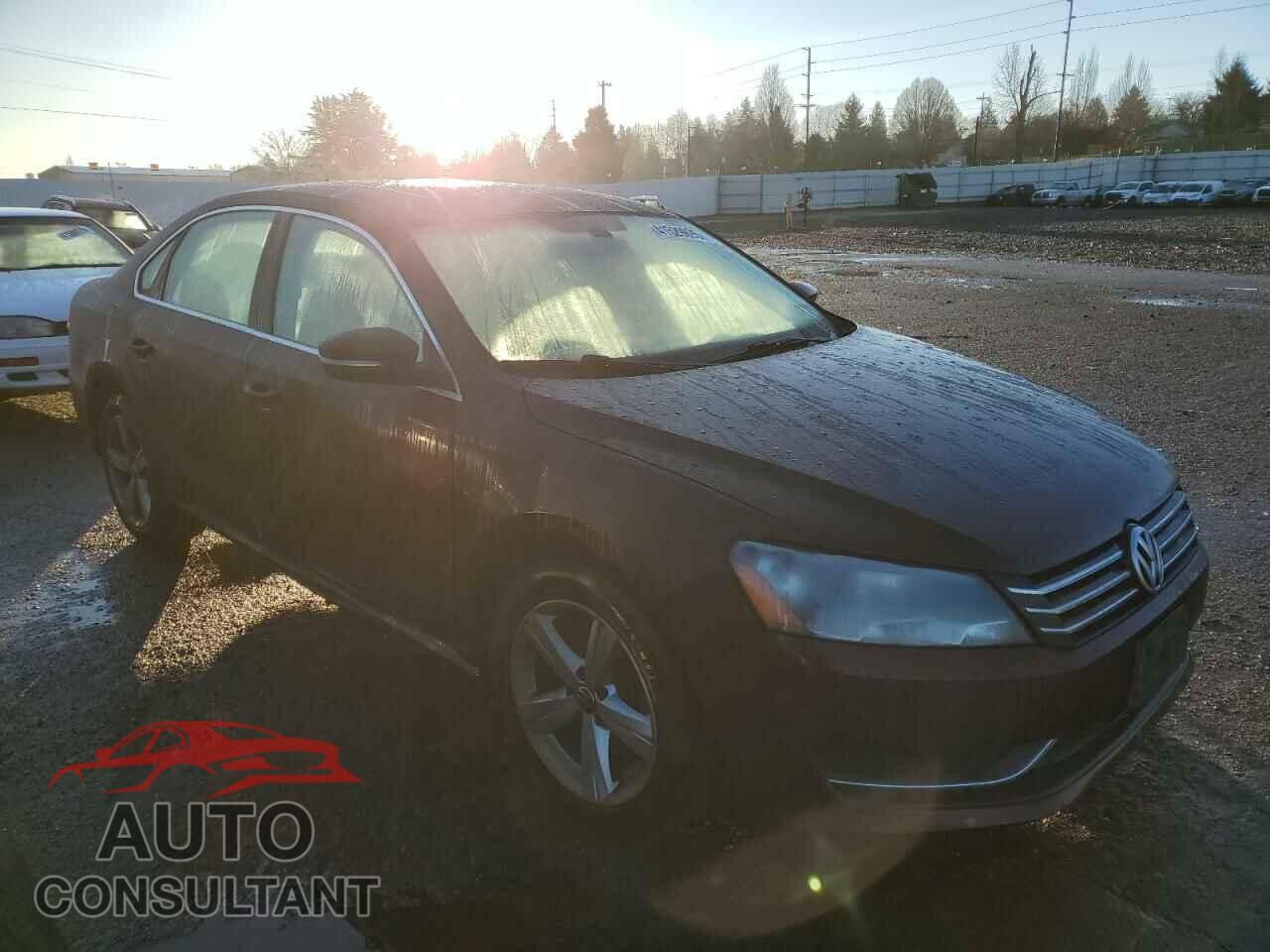 VOLKSWAGEN PASSAT 2013 - 1VWBP7A37DC021399