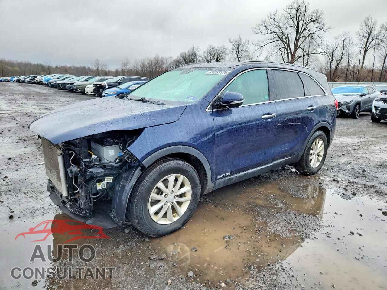 KIA SORENTO 2017 - 5XYPGDA55HG210059