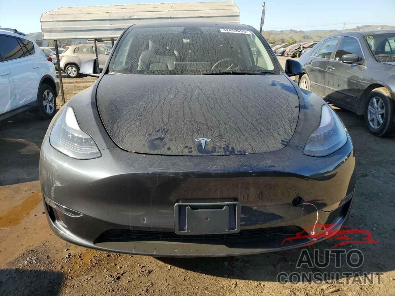 TESLA MODEL Y 2025 - 7SAYGDEE3SF241696