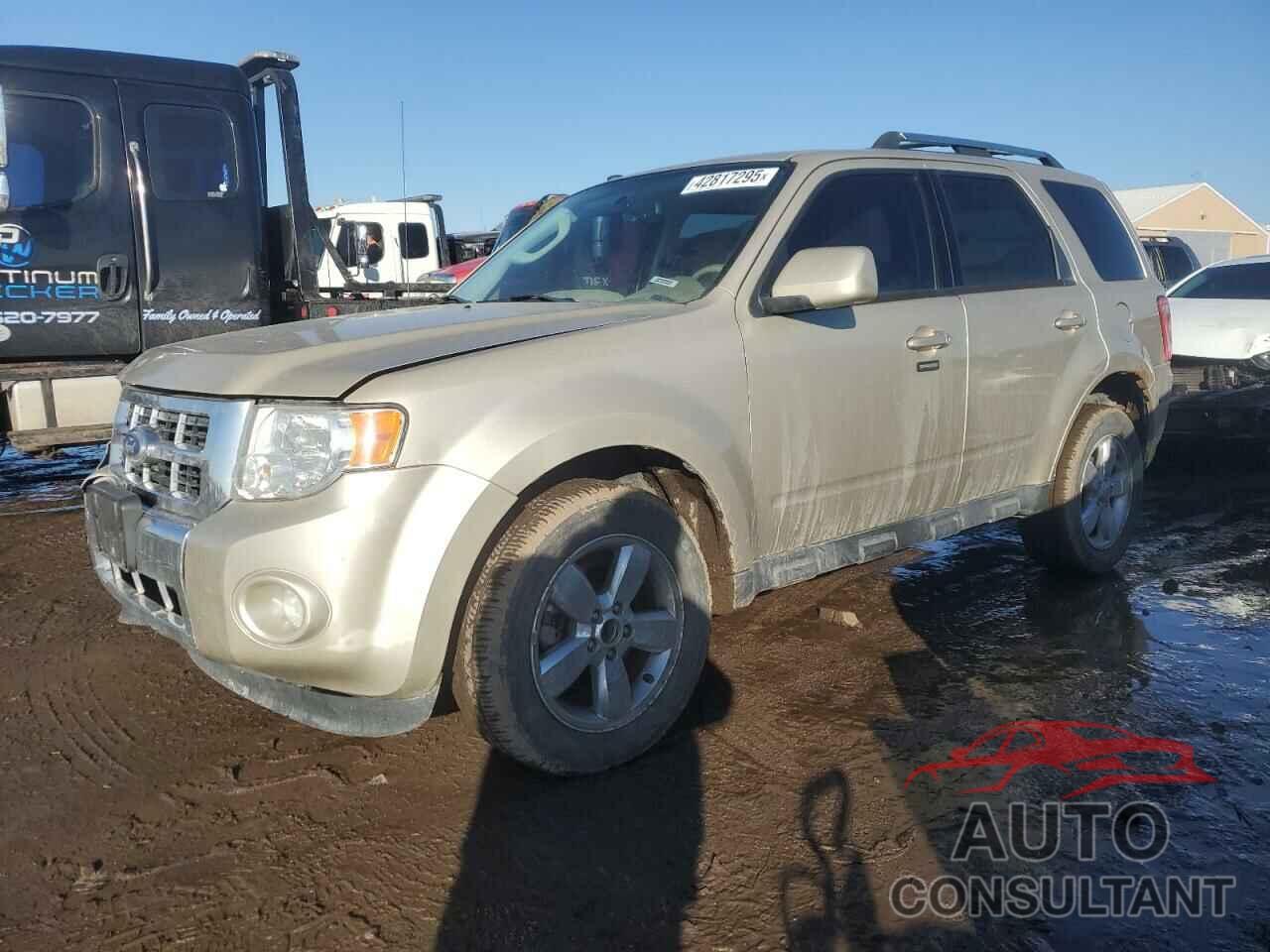 FORD ESCAPE 2012 - 1FMCU9EG4CKA89071