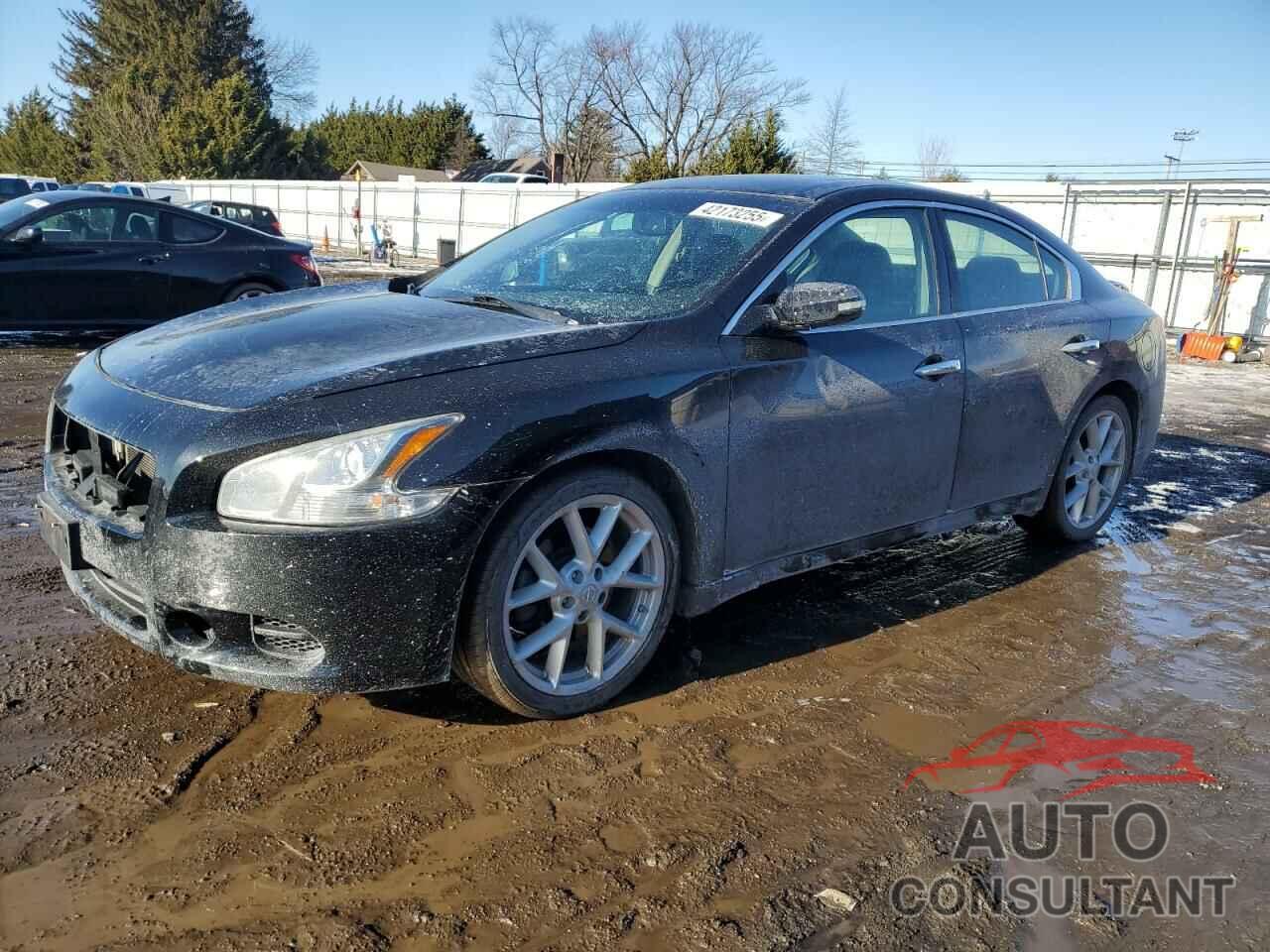 NISSAN MAXIMA 2009 - 1N4AA51E19C846017
