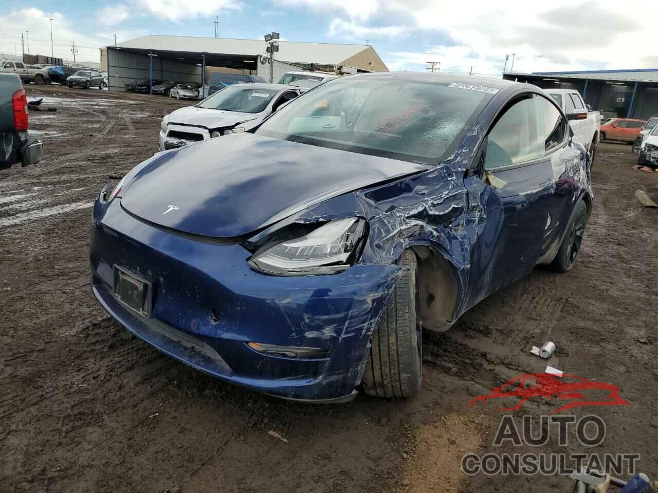 TESLA MODEL Y 2022 - 7SAYGDEE9NF386939