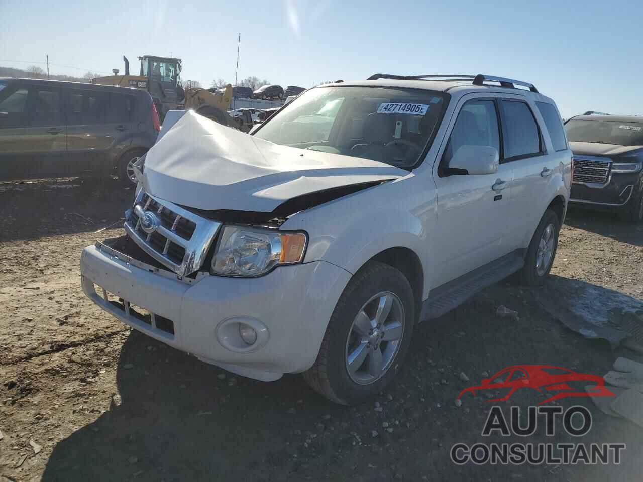 FORD ESCAPE 2011 - 1FMCU0EG5BKC36184