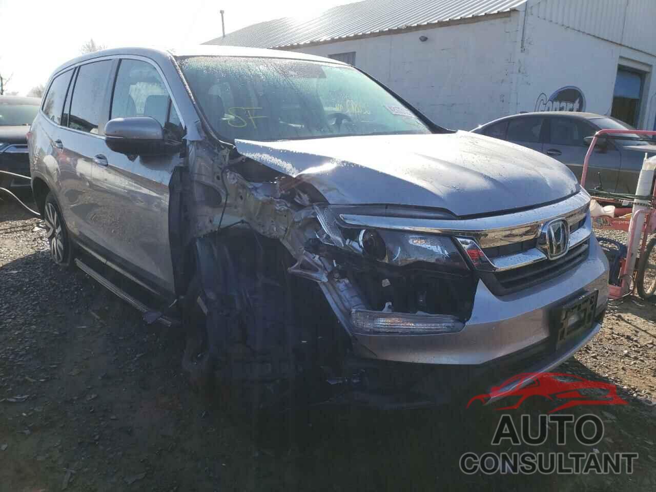 HONDA PILOT 2019 - 5FNYF6H51KB099601