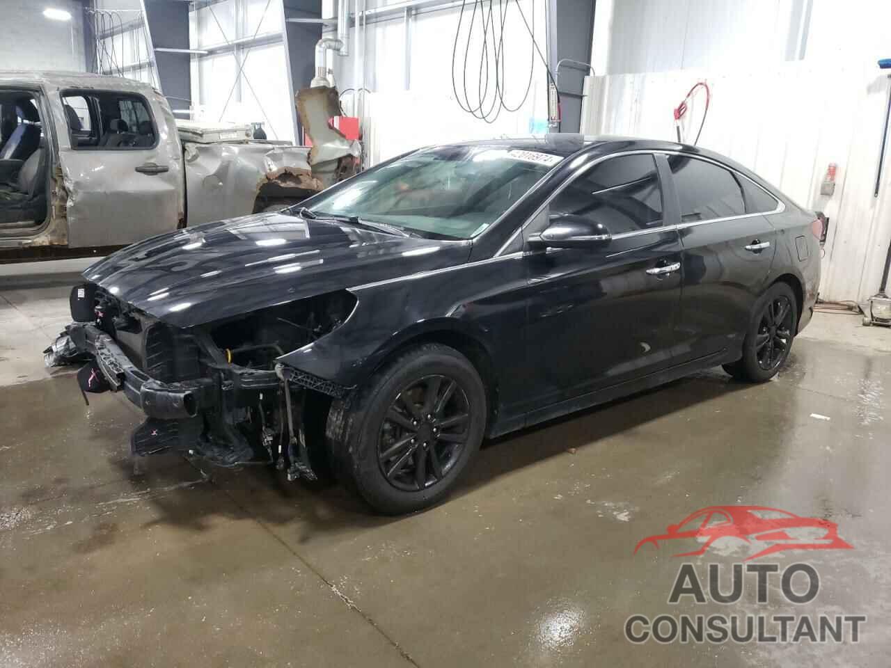 HYUNDAI SONATA 2019 - 5NPE34AF5KH780493