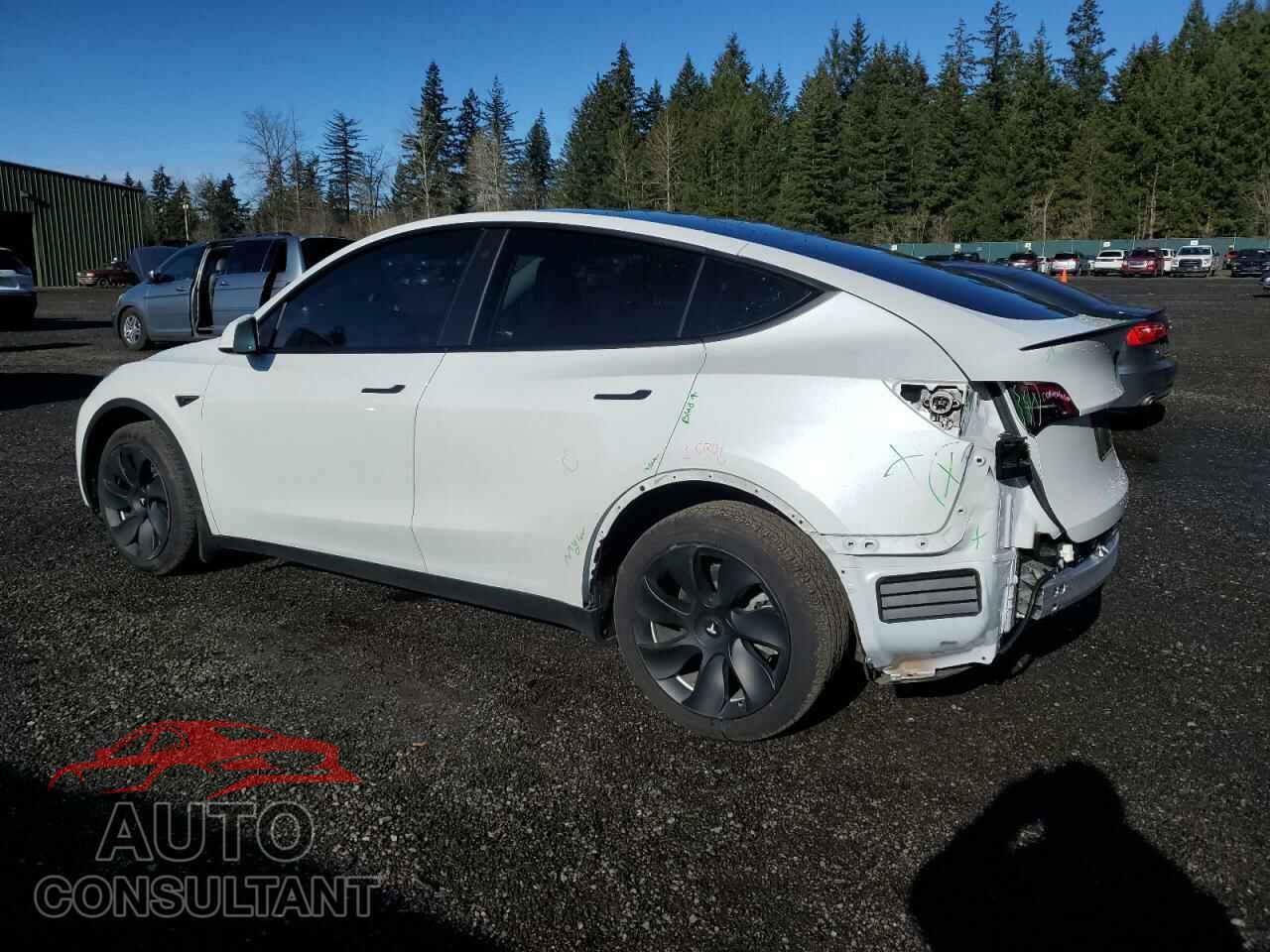 TESLA MODEL Y 2023 - 7SAYGDEE0PF683083