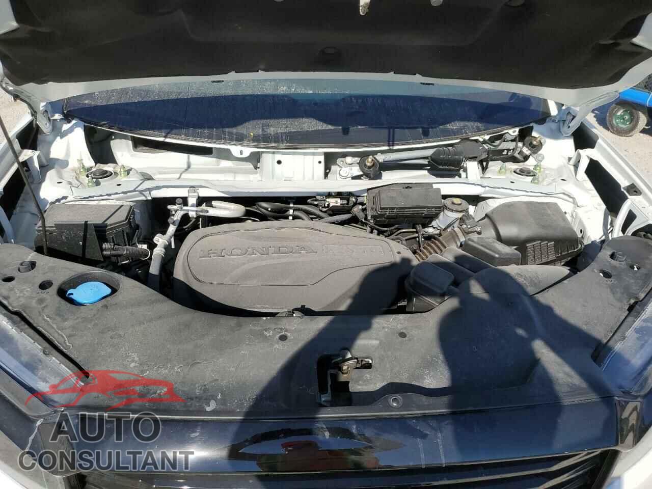 HONDA RIDGELINE 2023 - 5FPYK3F84PB021111
