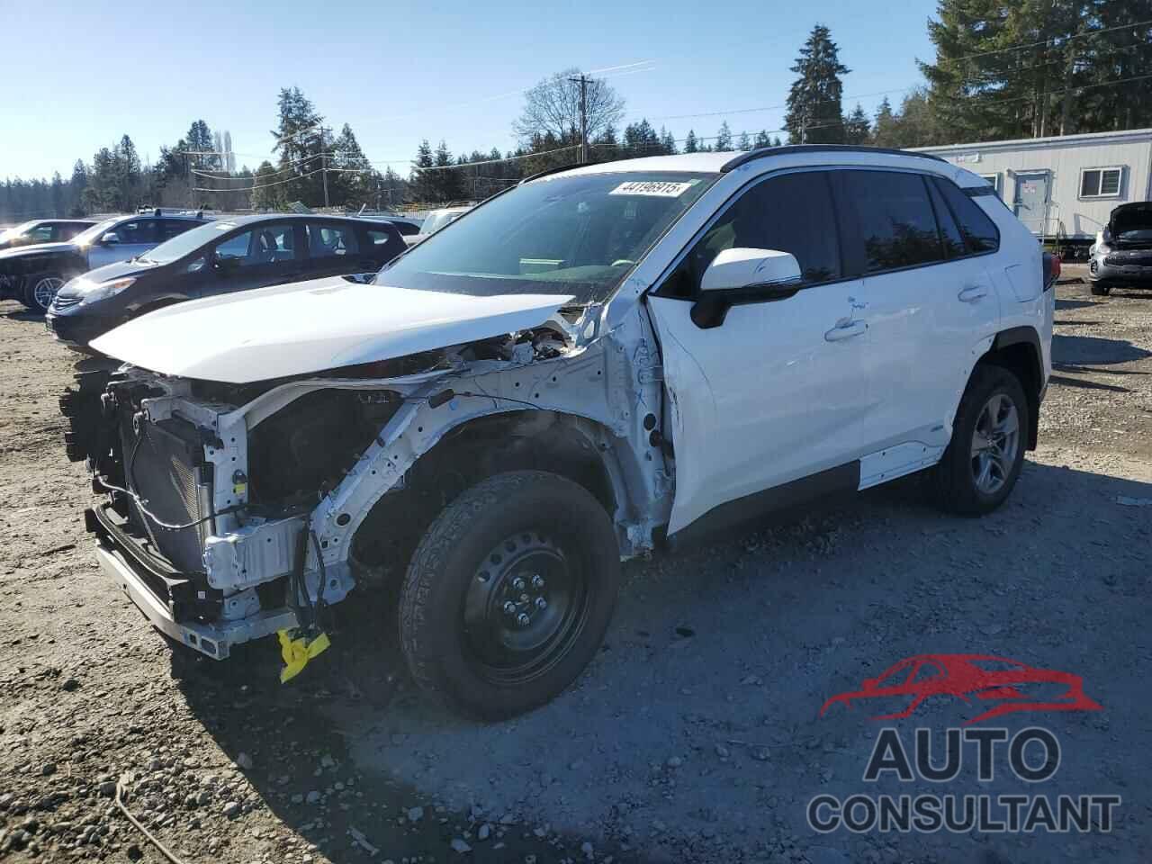 TOYOTA RAV4 2024 - JTMMWRFV0RD209106