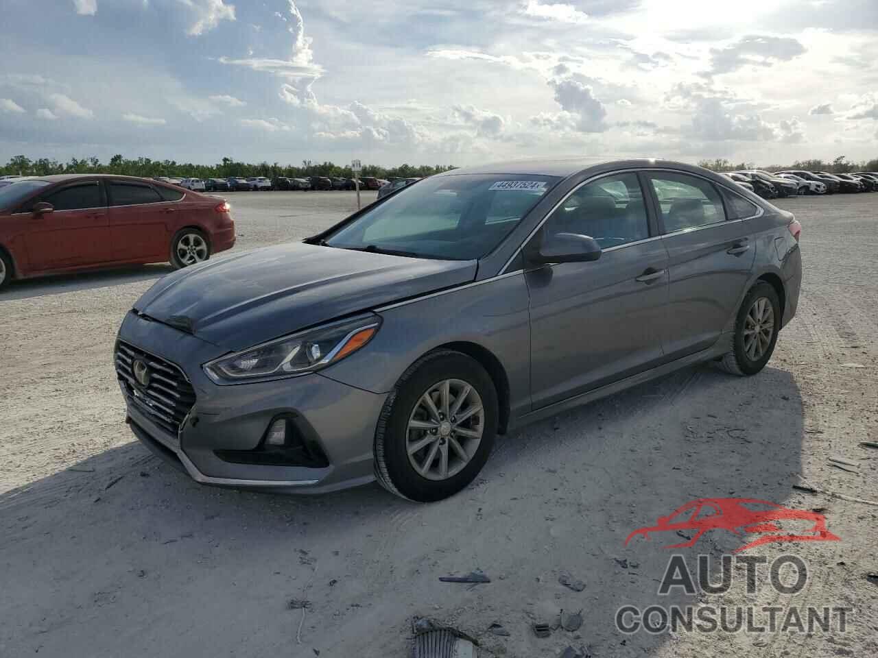 HYUNDAI SONATA 2019 - 5NPE24AF7KH731752