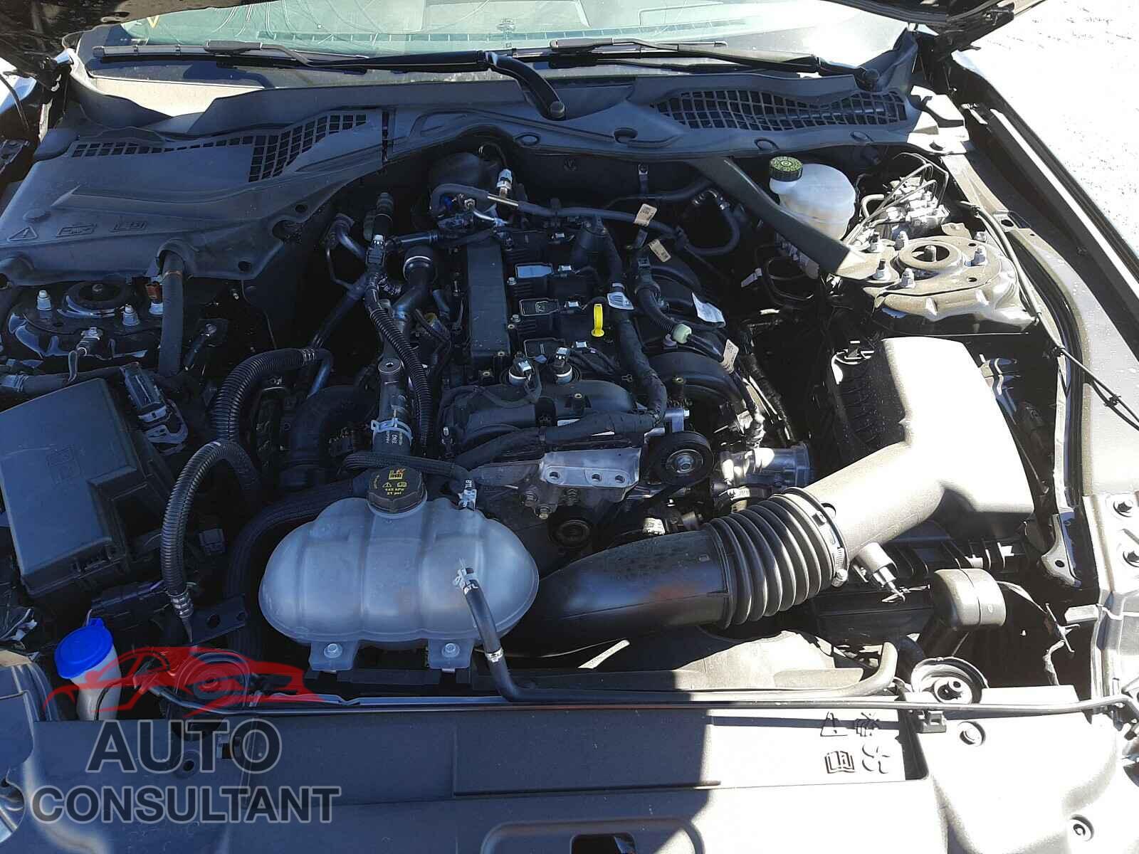 FORD MUSTANG 2021 - 1FATP8UH5M5116431