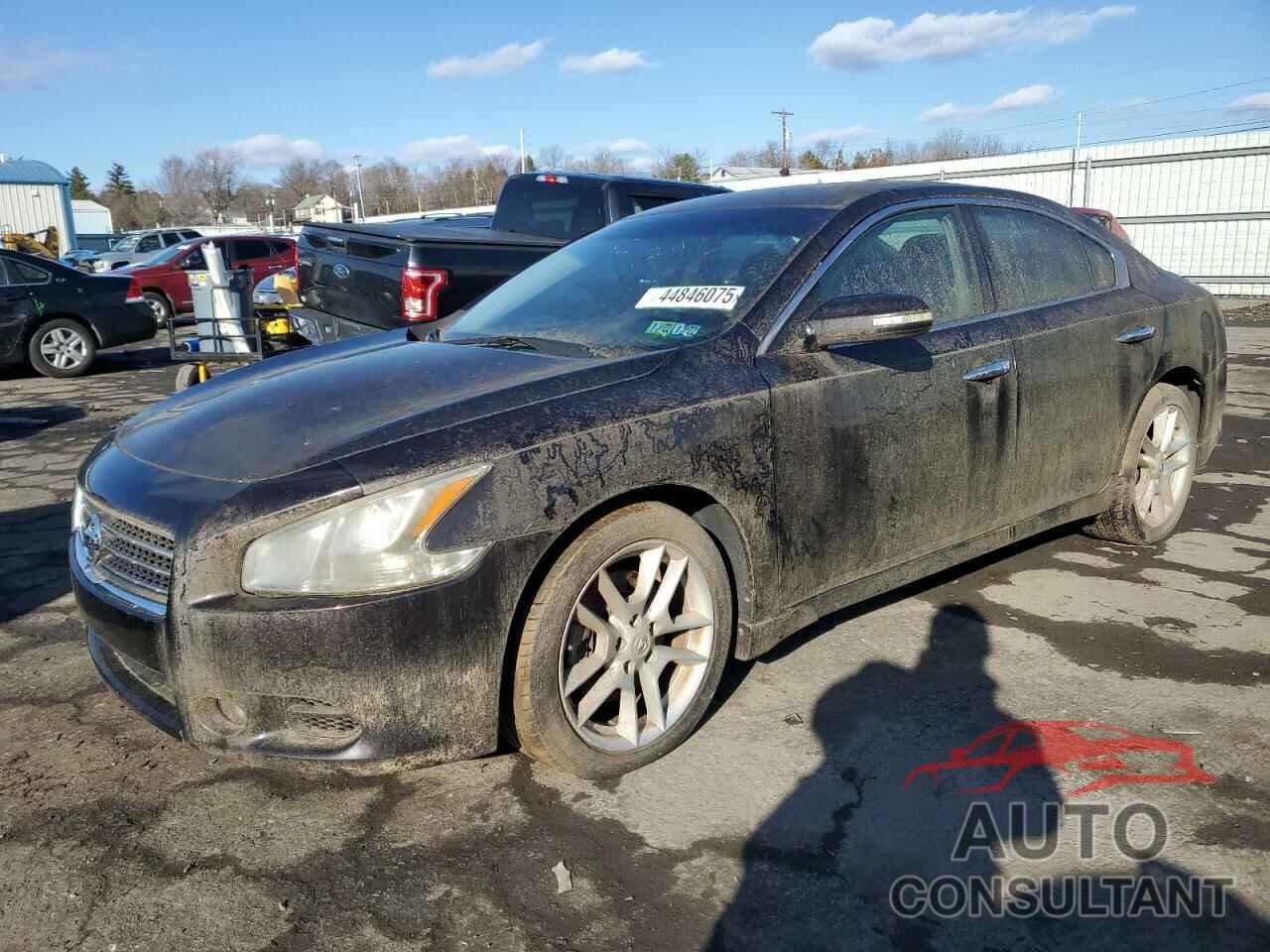 NISSAN MAXIMA 2010 - 1N4AA5AP6AC829641