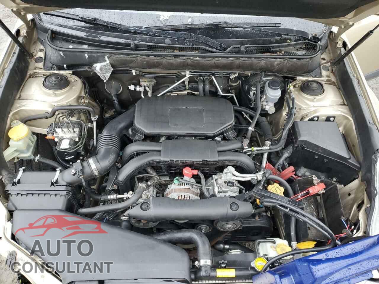 SUBARU OUTBACK 2010 - 4S4BRBCC1A3347994