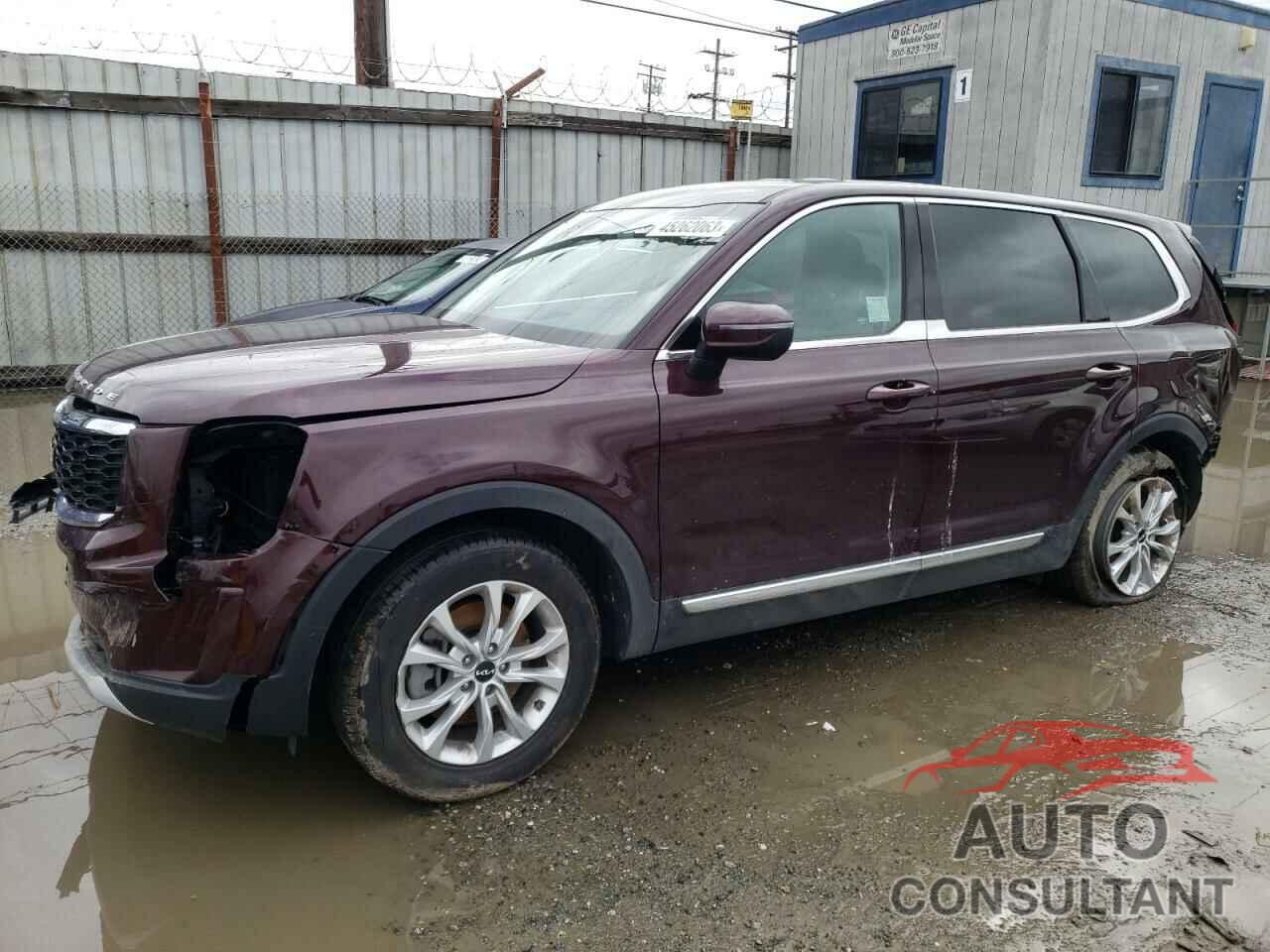 KIA TELLURIDE 2022 - 5XYP24HC7NG225984