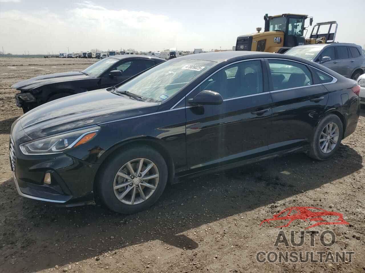 HYUNDAI SONATA 2019 - 5NPE24AF9KH795839