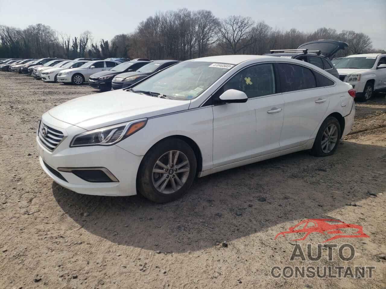 HYUNDAI SONATA 2017 - 5NPE24AF7HH594322