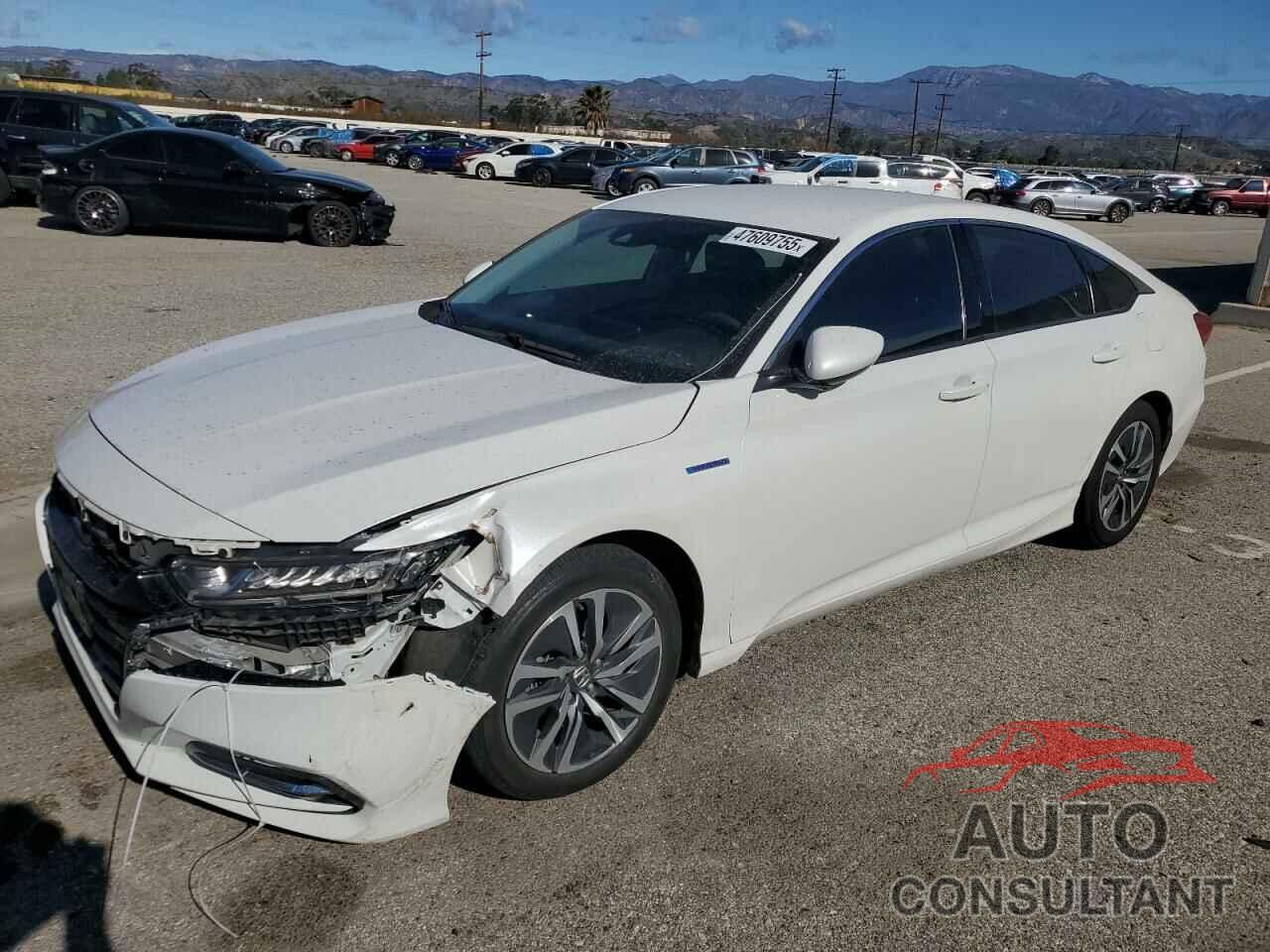 HONDA ACCORD 2019 - 1HGCV3F13KA013615