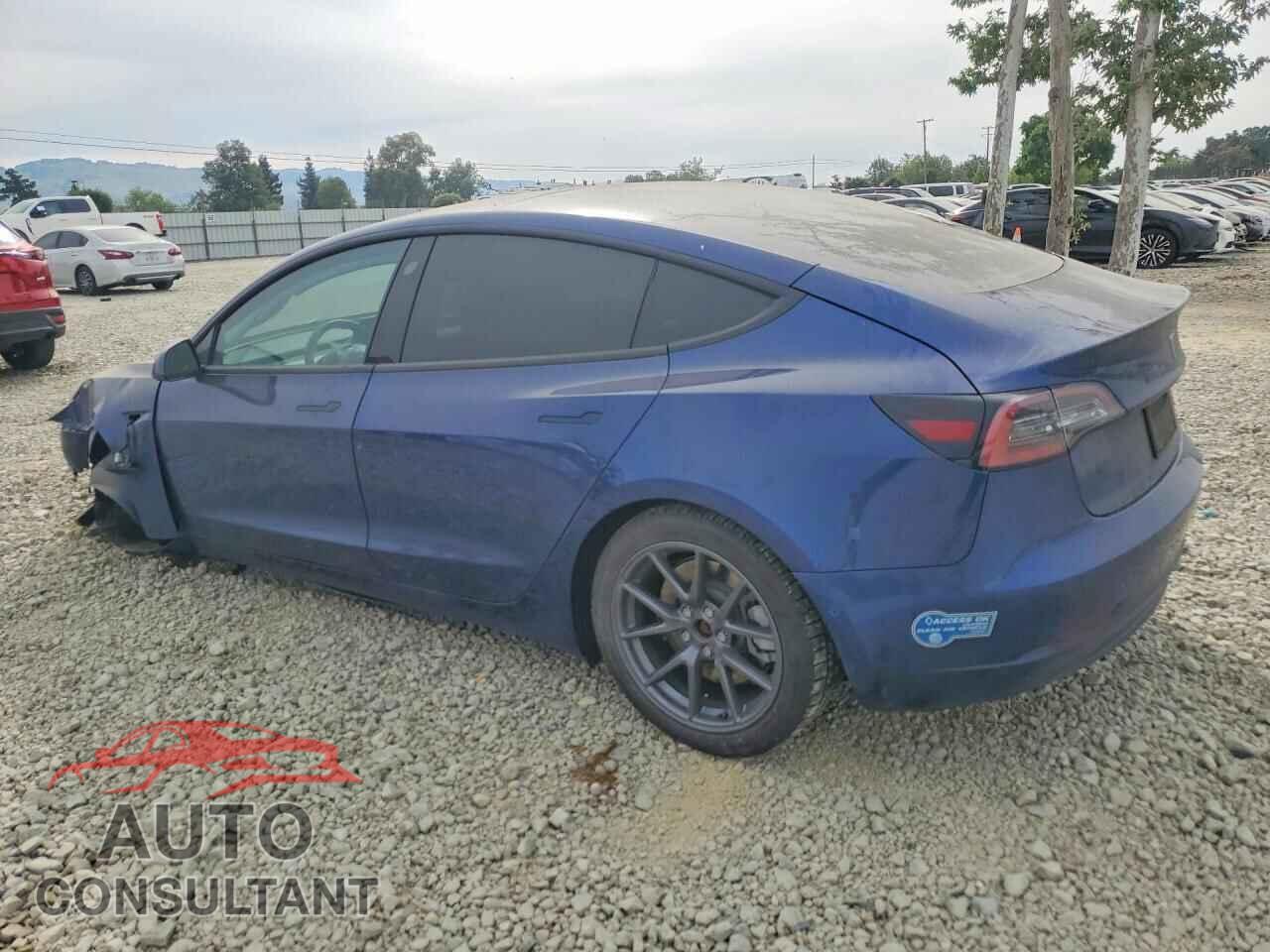 TESLA MODEL 3 2021 - 5YJ3E1EB6MF998581