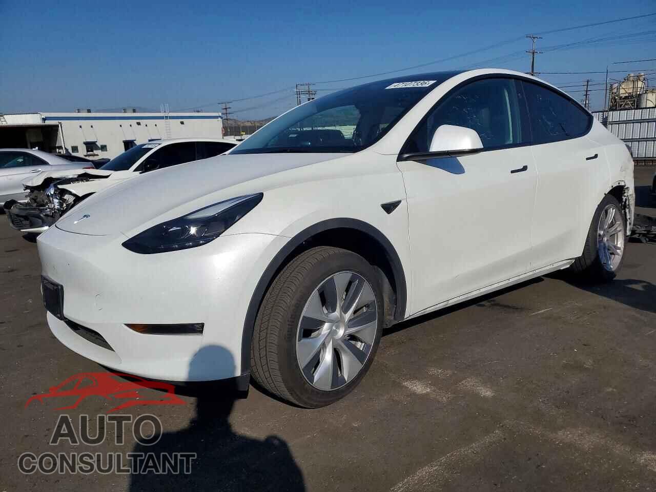 TESLA MODEL Y 2023 - 7SAYGDED1PF970486