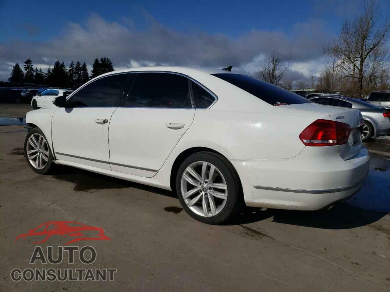 VOLKSWAGEN PASSAT 2012 - 1VWCN7A39CC054431
