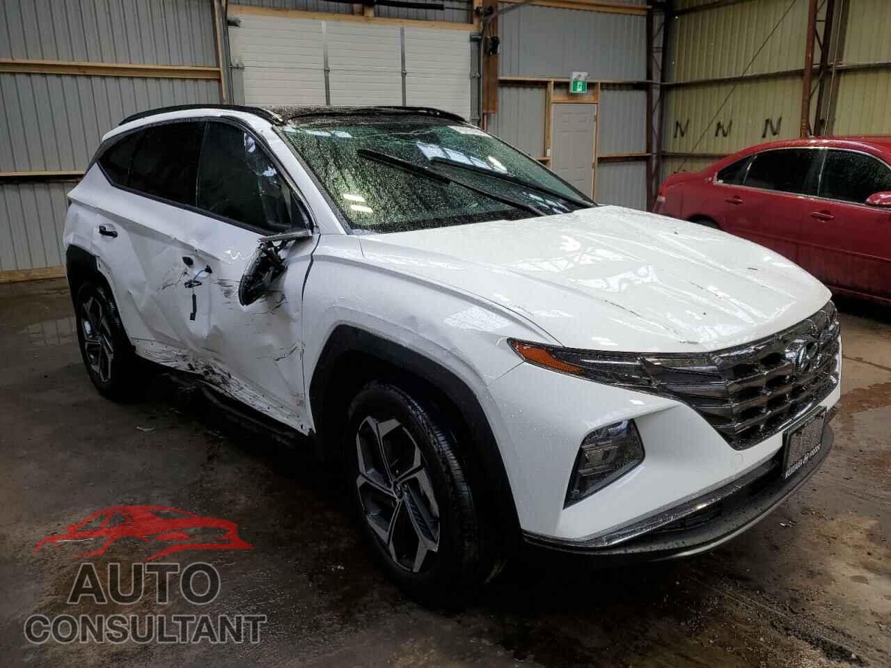 HYUNDAI TUCSON 2024 - KM8JCCD1XRU180945