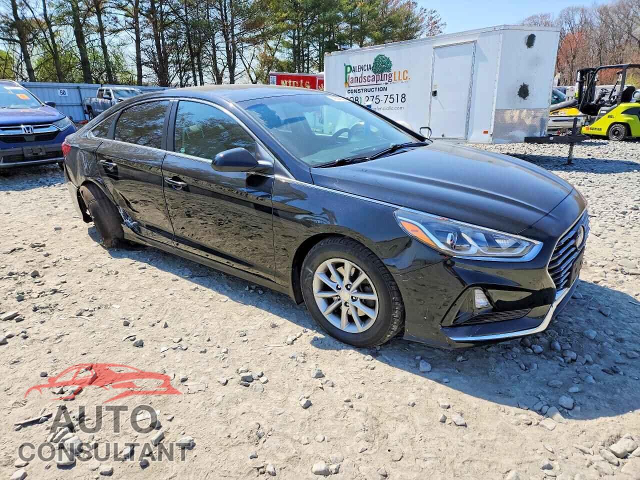 HYUNDAI SONATA 2019 - 5NPE24AF5KH796888