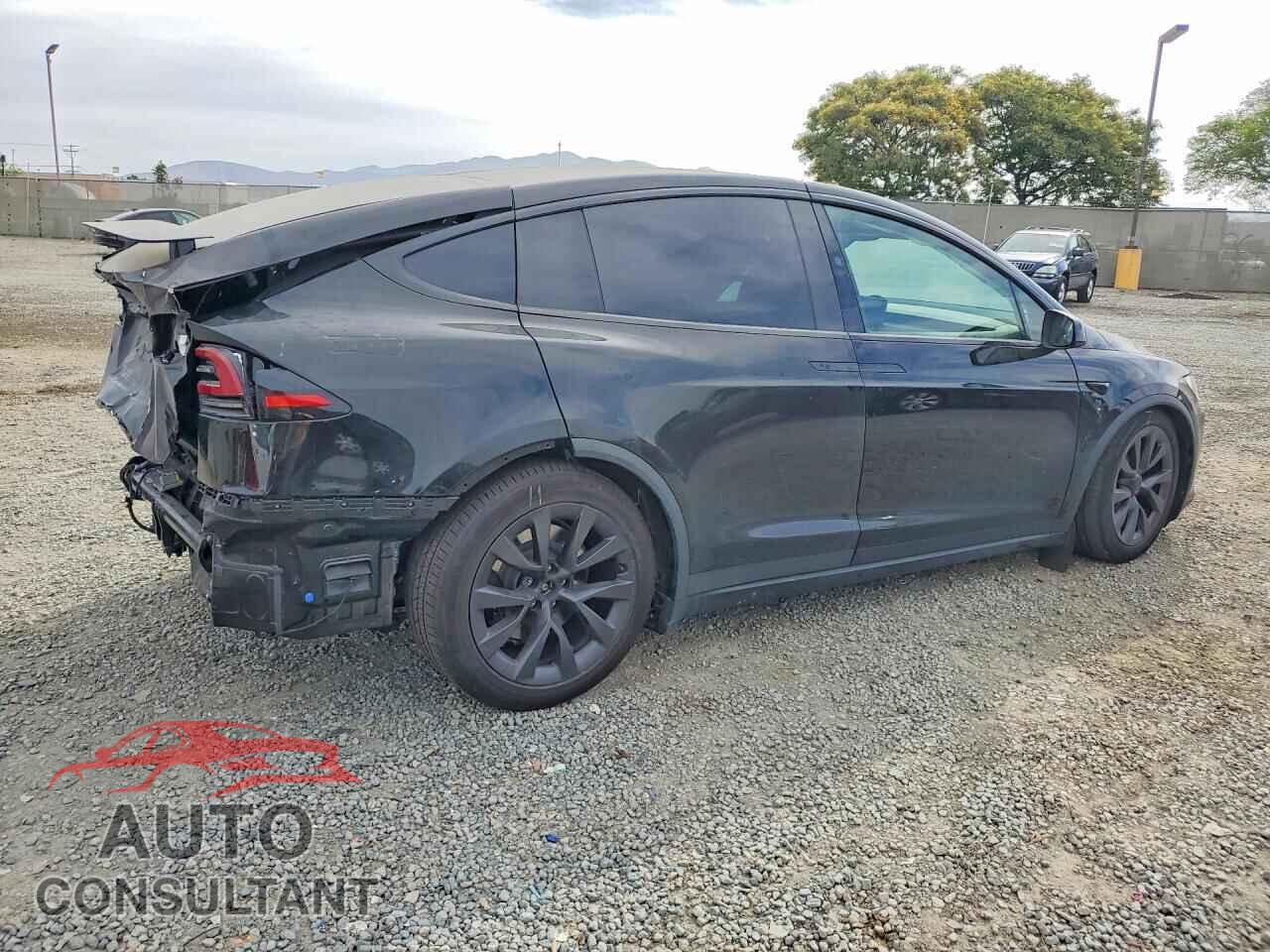 TESLA MODEL X 2024 - 7SAXCAE54RF439090