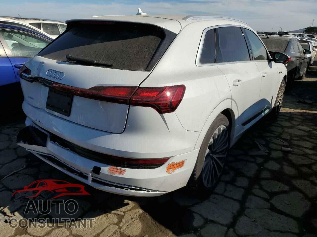 AUDI E-TRON 2019 - WA1VAAGEXKB020753