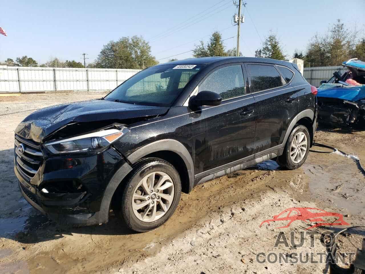 HYUNDAI TUCSON 2017 - KM8J23A42HU470273