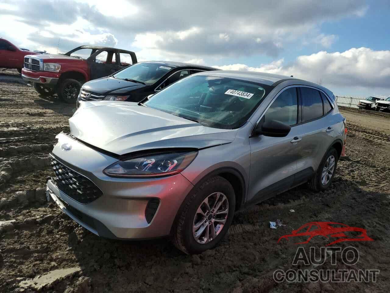 FORD ESCAPE 2022 - 1FMCU0G6XNUB08570