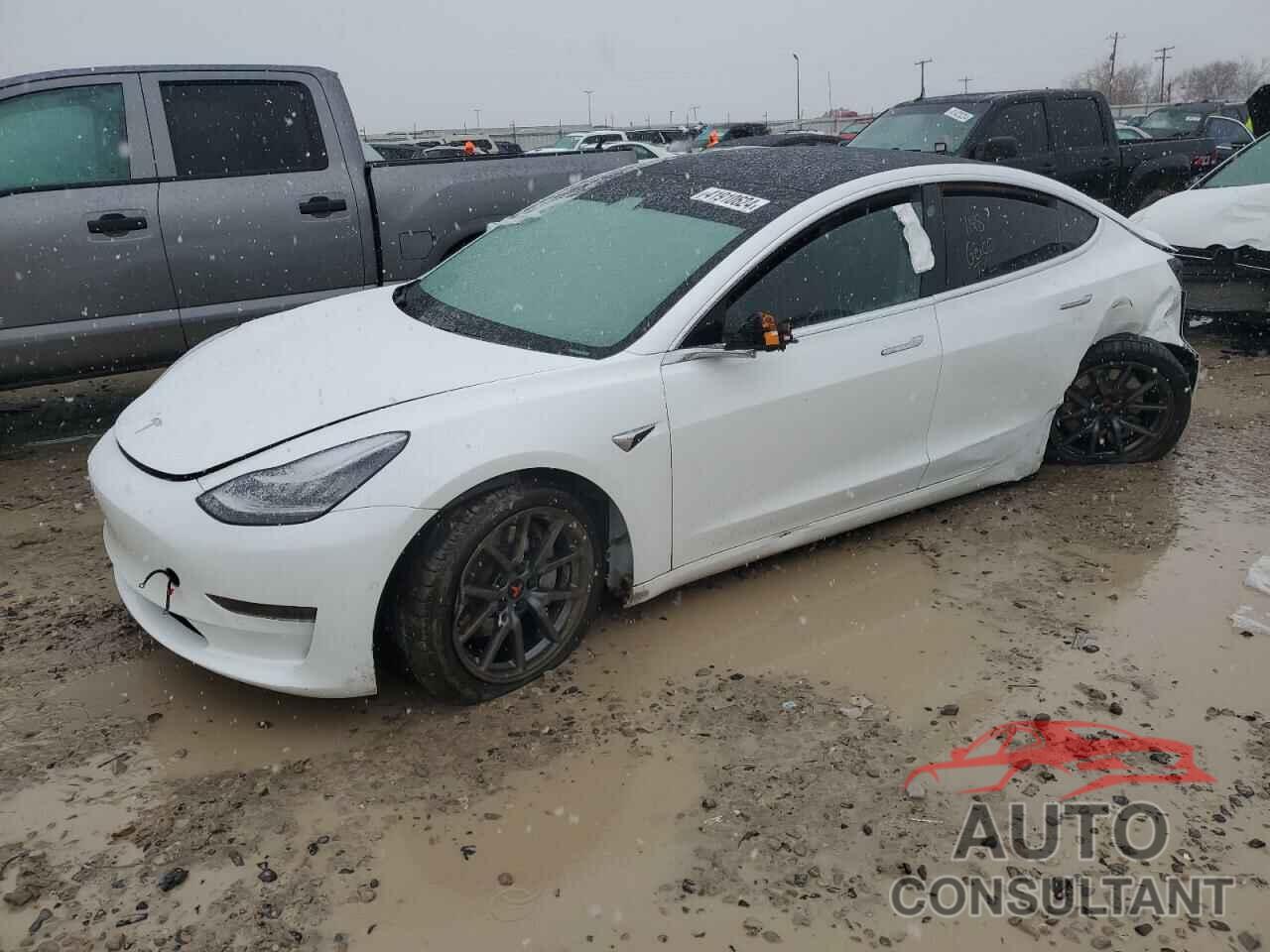 TESLA MODEL 3 2020 - 5YJ3E1EA0LF747044