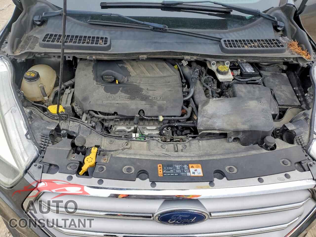 FORD ESCAPE 2017 - 1FMCU9GD4HUD43697
