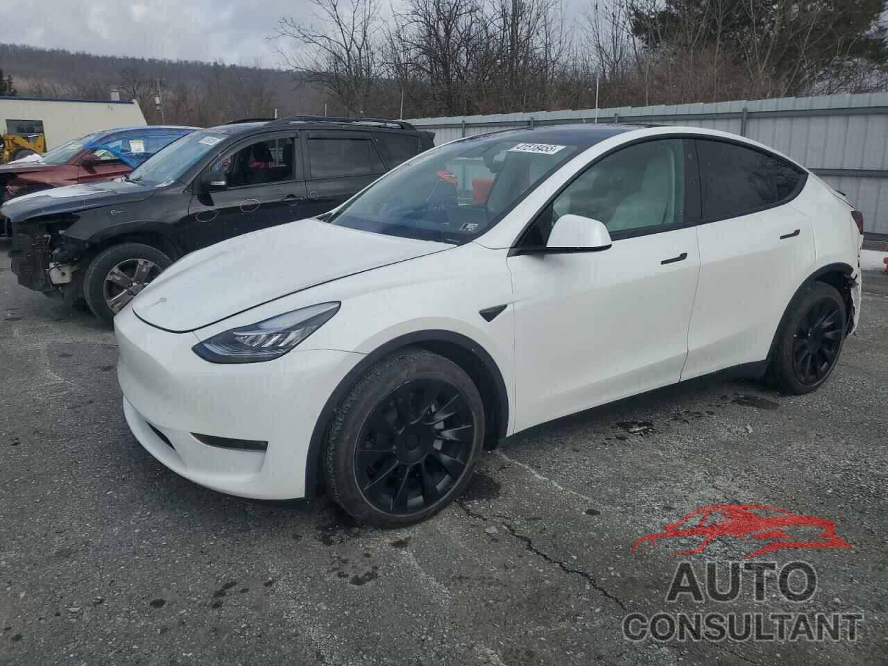 TESLA MODEL Y 2022 - 7SAYGDEE7NF367824