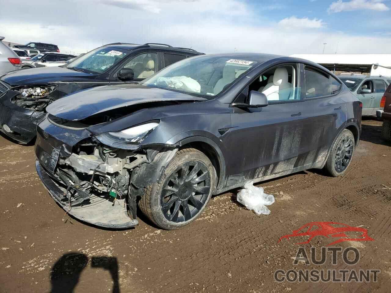 TESLA MODEL Y 2021 - 5YJYGDEE9MF065852