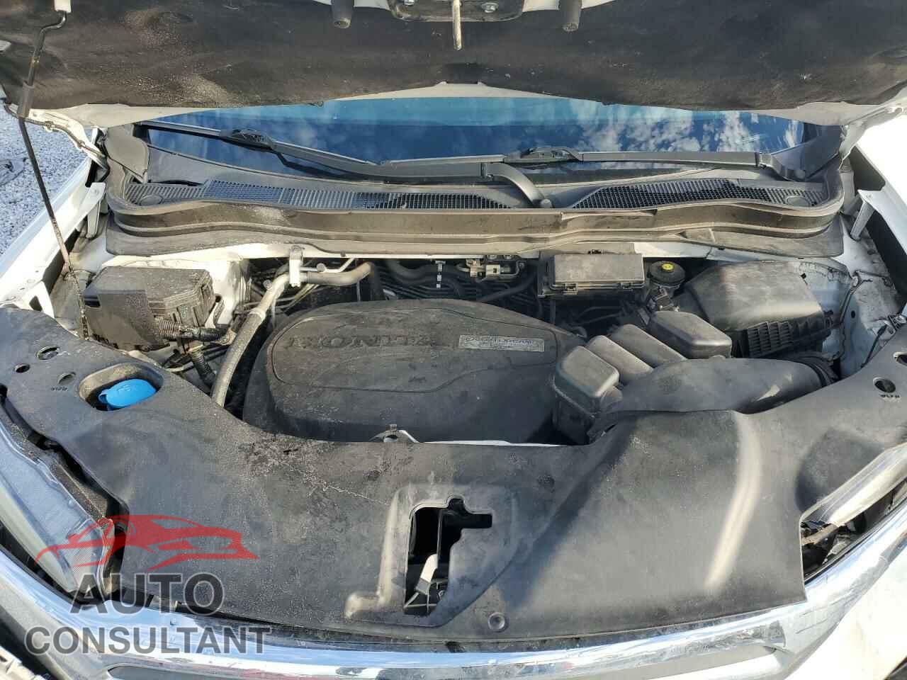 HONDA RIDGELINE 2019 - 5FPYK2F63KB002874
