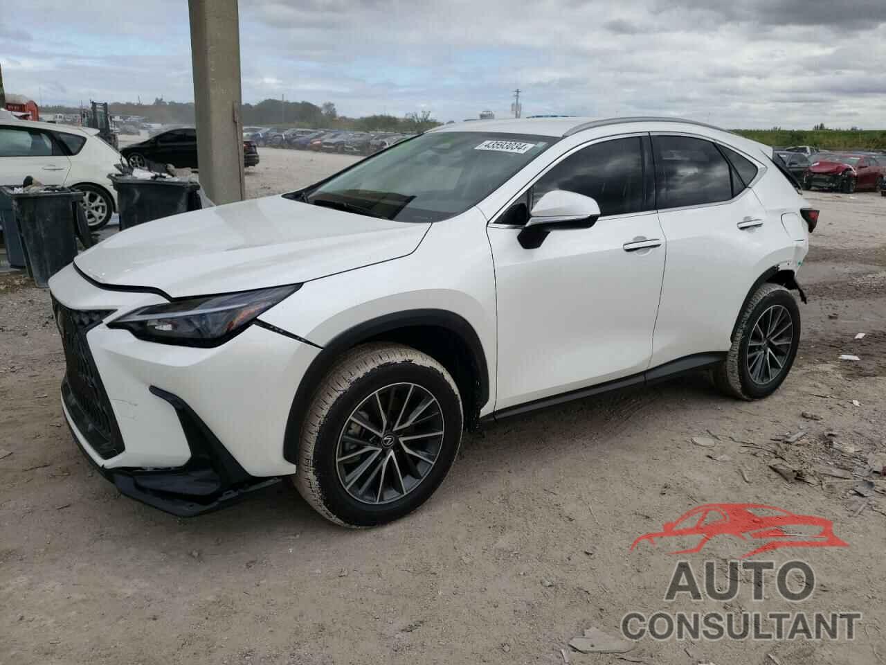 LEXUS NX 250 BAS 2024 - JTJADCAZ0R5014095